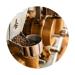 Freshly roasted coffee beans being transferred from a coffee roaster into a storage container to preserve freshness.