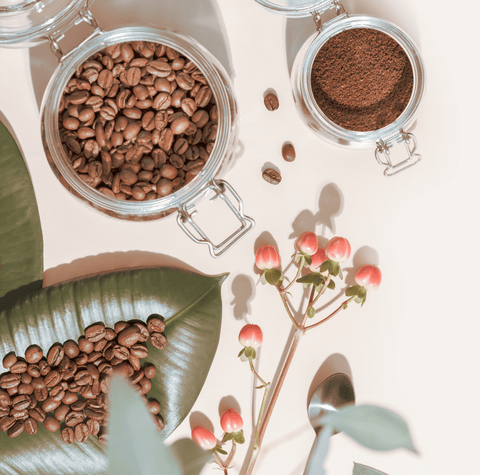Overhead view of roasted coffee beans, ground coffee, glass storage jars, and botanical elements highlighting fresh specialty coffee and home barista essentials.